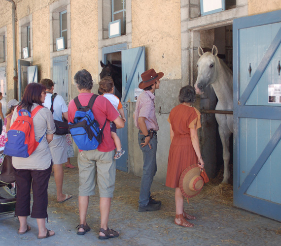 Haras de Tarbes  Haras de Tarbes - Hautes-Pyrénées