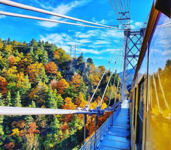Train Jaune de Cerdagne