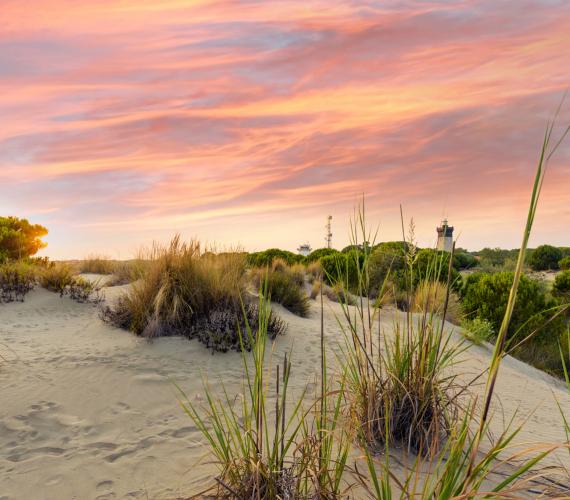 Plage de l'Espiguette