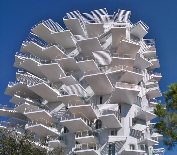 Arbre Blanc Montpellier