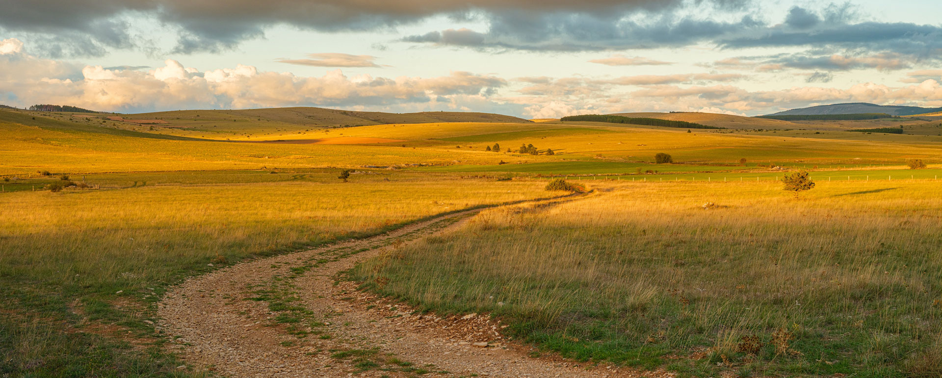 Campagne du Causse Méjean en Lozère