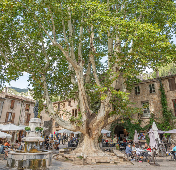 Saint-Guilhem le Desert