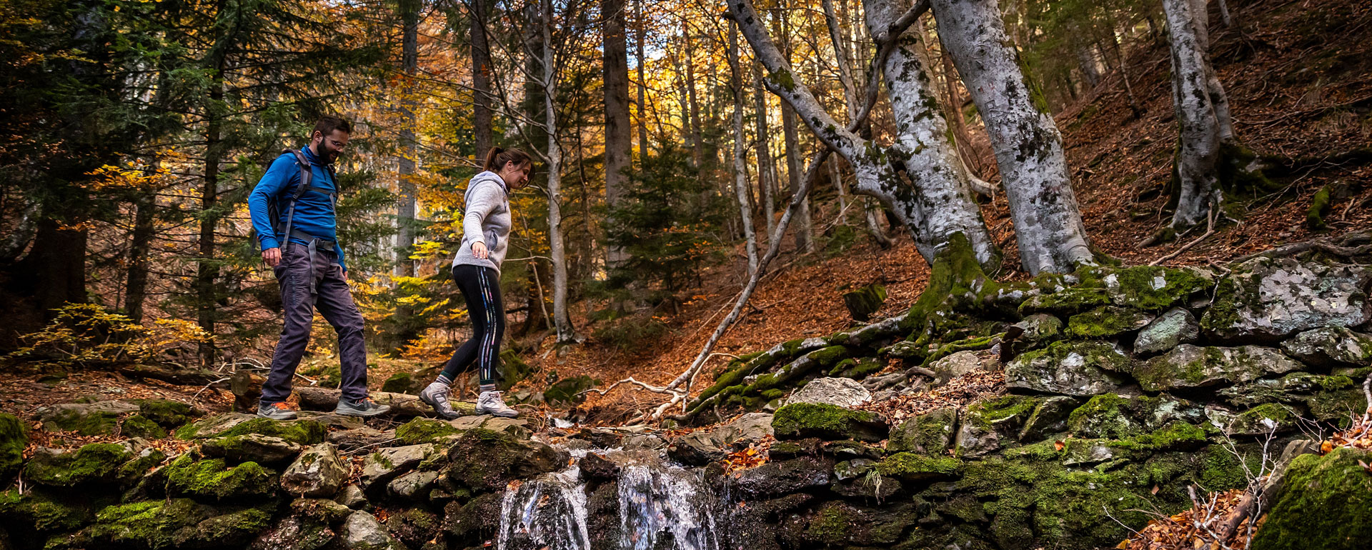 Wandelen in Val-d'Aigoual in de Cevennen