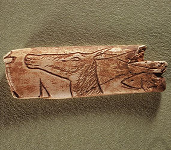 Grotte de la Vache © Grotte de la Vache