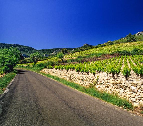 Le vignoble des Corbières © G. Deschamps / CRTL Occitanie