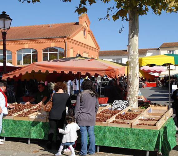 Marché au gras de Samatan Marché au gras de Samatan