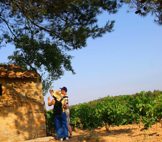 Vignoble des Corbières © G.DESCHAMPS / CRTL Occitanie