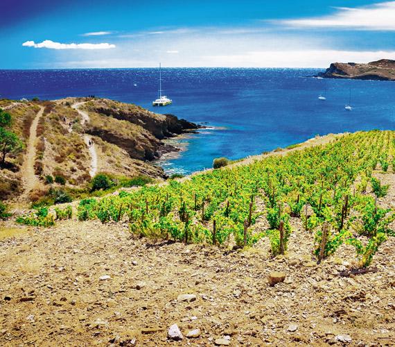 Côte vermeille - Occitanie © CRTL Occitanie / G.Deschamps