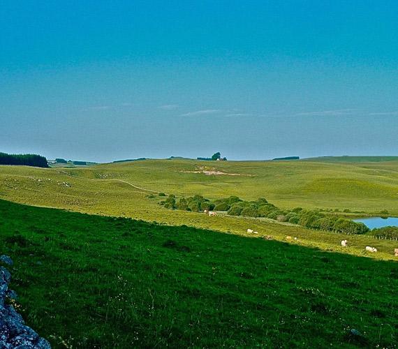 Aubrac © C. Chabanette