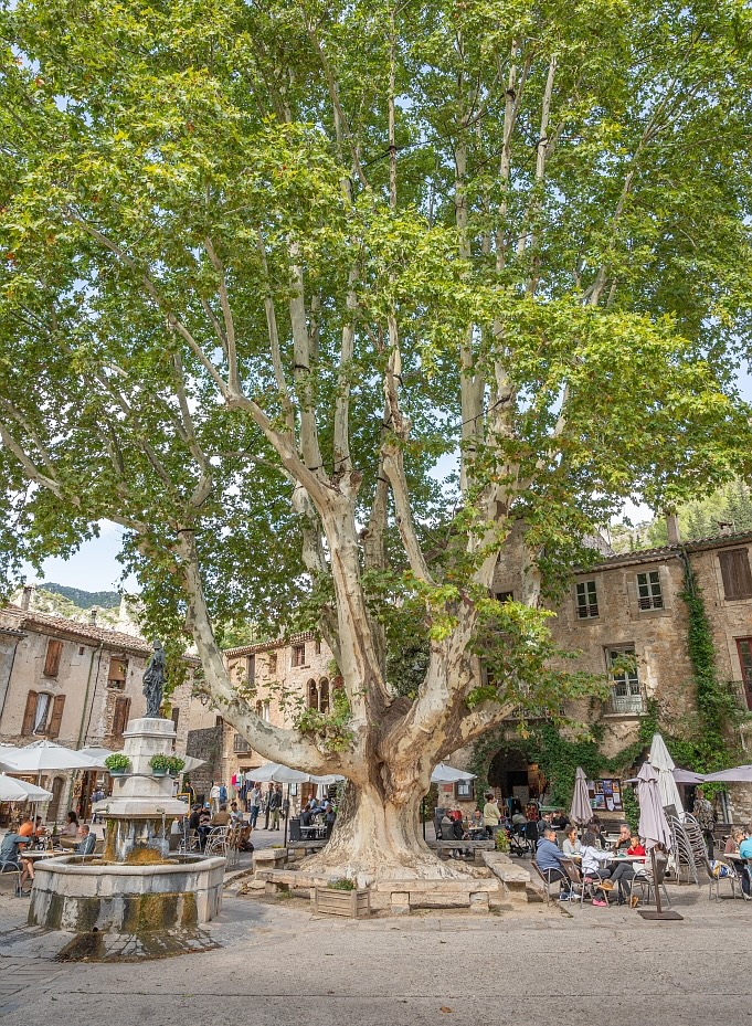 St-Guilhem-le-désert © G. Payen / CRTL Occitanie