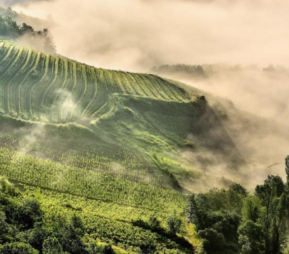 Vigneti di Marcillac